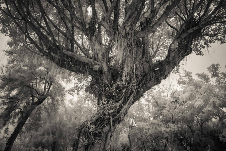 Twisted Threads, Taiwan