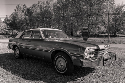 NE-09-2025-BW-00304