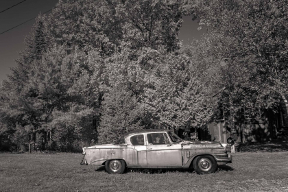 NE-09-2025-BW-00308