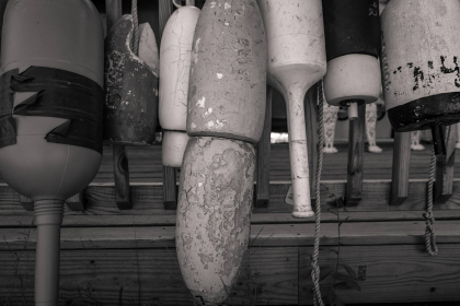 NE-09-2025-BW-00324