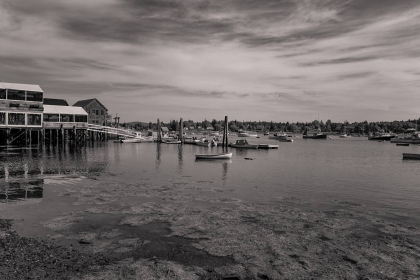 NE-09-2025-BW-00338