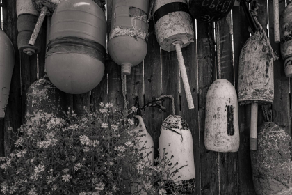 NE-09-2025-BW-00352