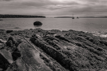 NE-09-2025-BW-00362