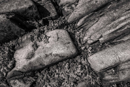 NE-09-2025-BW-00380