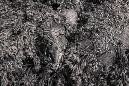 NE-09-2025-BW-00384