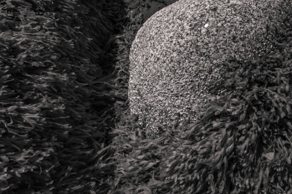 NE-09-2025-BW-00392
