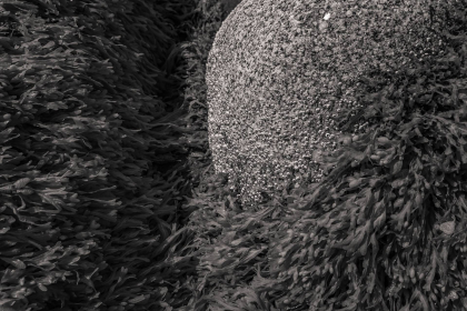 NE-09-2025-BW-00394