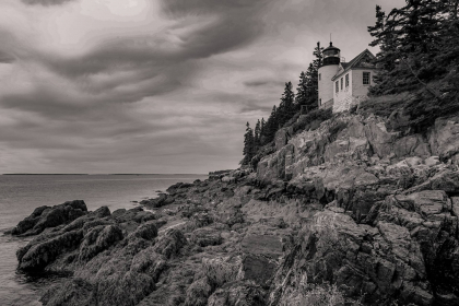 NE-09-2025-BW-00402
