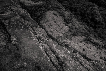 NE-09-2025-BW-00412