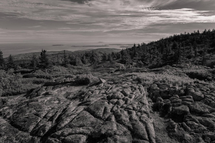 NE-09-2025-BW-00418