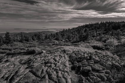 NE-09-2025-BW-00419