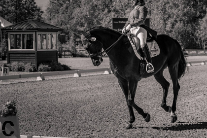 NE-09-2025-BW-00453