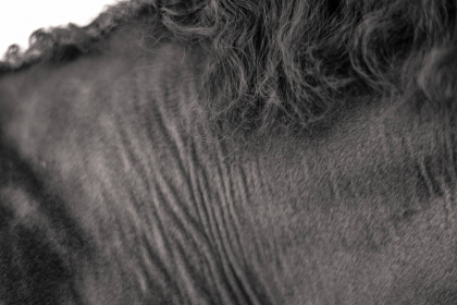 NE-09-2025-BW-00485
