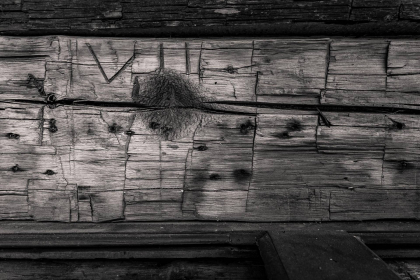 NE-09-2025-BW-00626