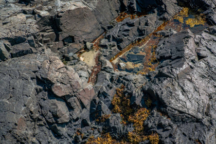 NE-09-2025-Color-08366