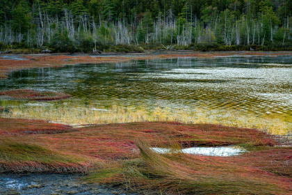 NE-09-2025-Color-08374