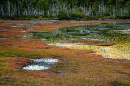 NE-09-2025-Color-08375