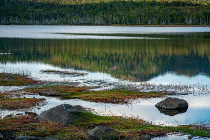 NE-09-2025-Color-08386