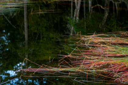 NE-09-2025-Color-08390