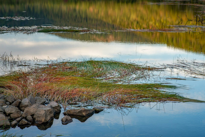 NE-09-2025-Color-08398