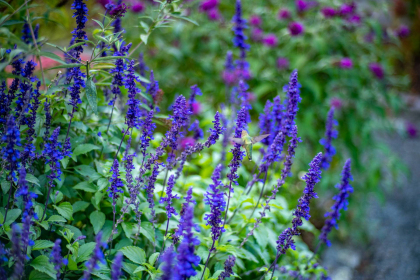 NE-09-2025-Color-08399