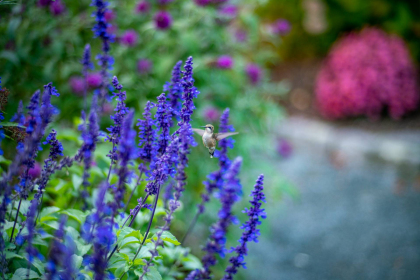 NE-09-2025-Color-08400