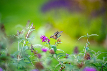 NE-09-2025-Color-08401