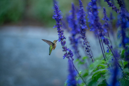 NE-09-2025-Color-08403