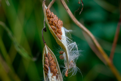 NE-09-2025-Color-08414