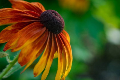 NE-09-2025-Color-08417