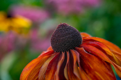 NE-09-2025-Color-08422