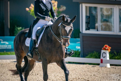 NE-09-2025-Color-08489