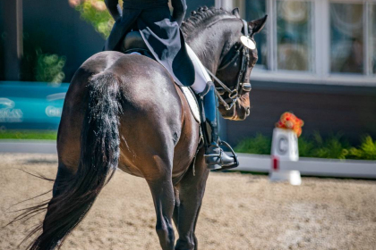 NE-09-2025-Color-08491