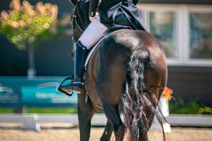 NE-09-2025-Color-08515