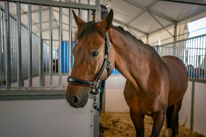 NE-09-2025-Color-08554