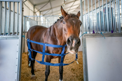 NE-09-2025-Color-08562