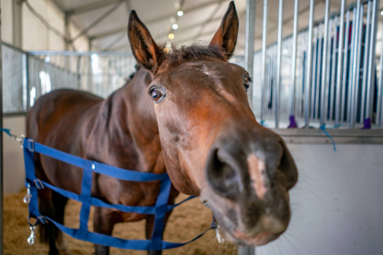 NE-09-2025-Color-08564