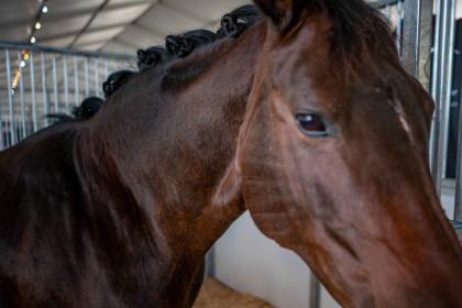 NE-09-2025-Color-08565