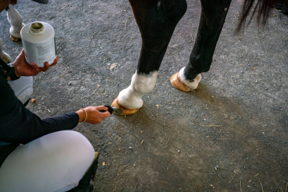 NE-09-2025-Color-08588