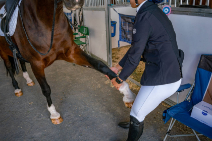 NE-09-2025-Color-08596