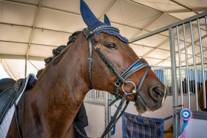 NE-09-2025-Color-08597