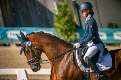 NE-09-2025-Color-08634