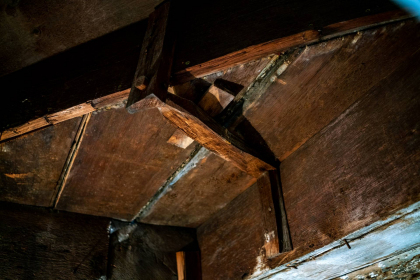 NE-09-2025-Color-08683