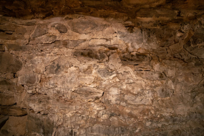 NE-09-2025-Color-08696