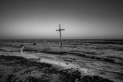 1_2026-02-FF-20150402-DSC02586-US2026-Trip-Full-Spectrum150402