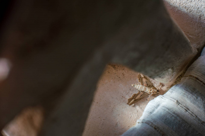 20150516-DSC02484-US2026-Trip-a7r2-color