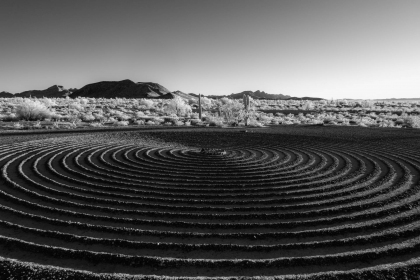 2026-02-FF-20130101-_DSC4221-US2026-Trip-IR130101