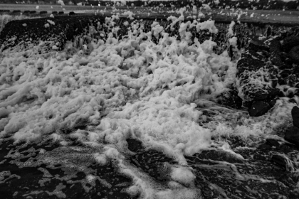 2026-02-FF-20150205-DSC01546-US2026-Trip-Full-Spectrum150205