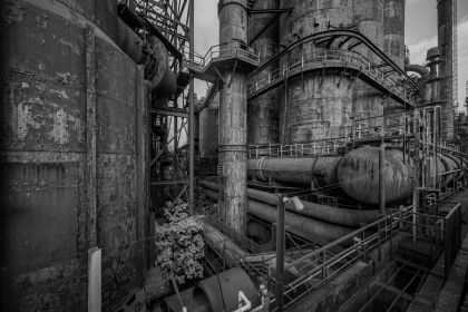 2026-02-FF-20150215-DSC01622-US2026-Trip-Full-Spectrum150215