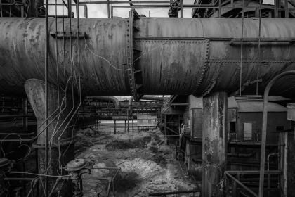 2026-02-FF-20150215-DSC01723-US2026-Trip-Full-Spectrum150215